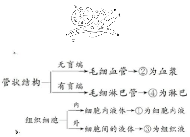 高考生物易错点