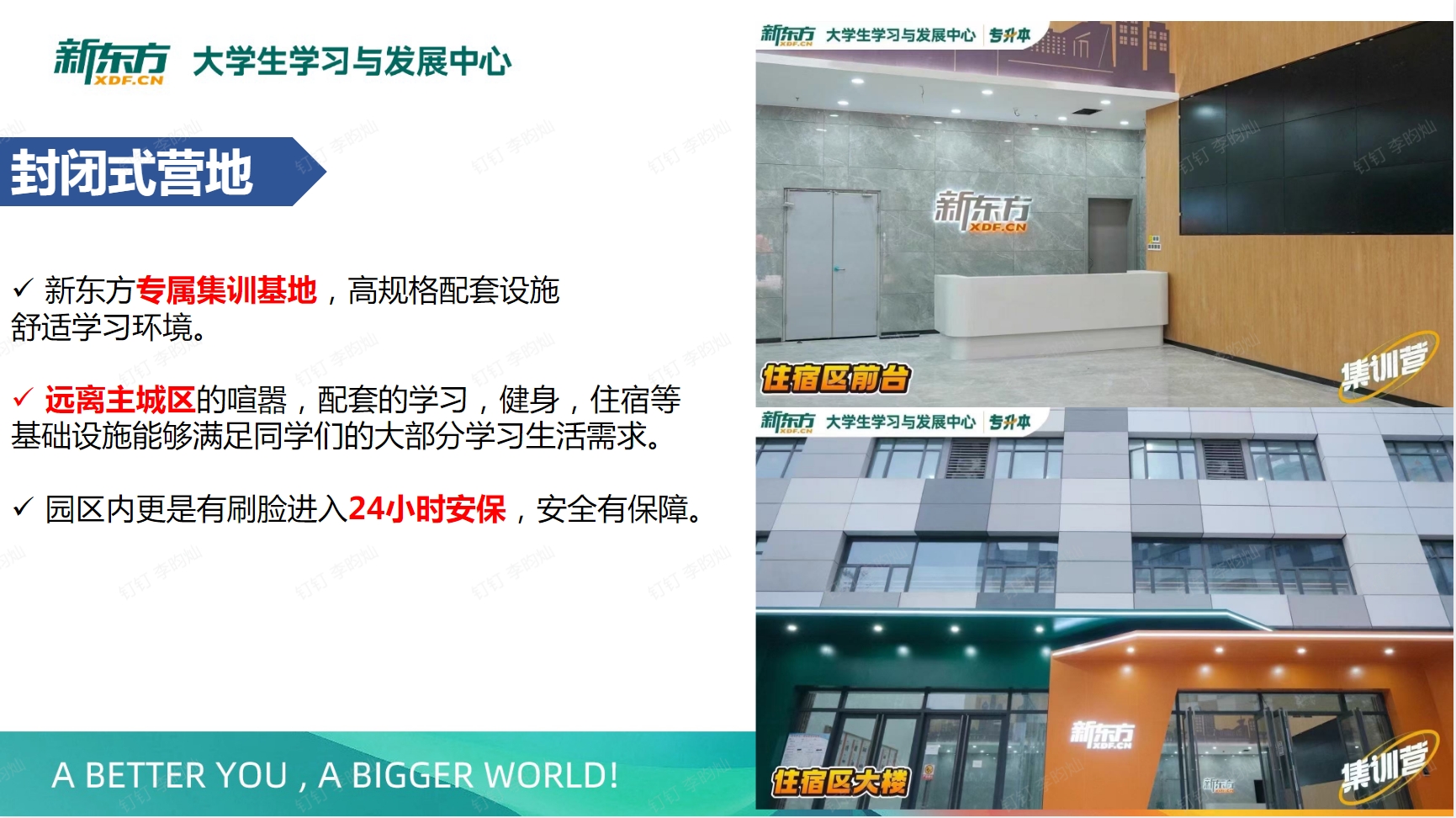 新东方专升本集训营课程