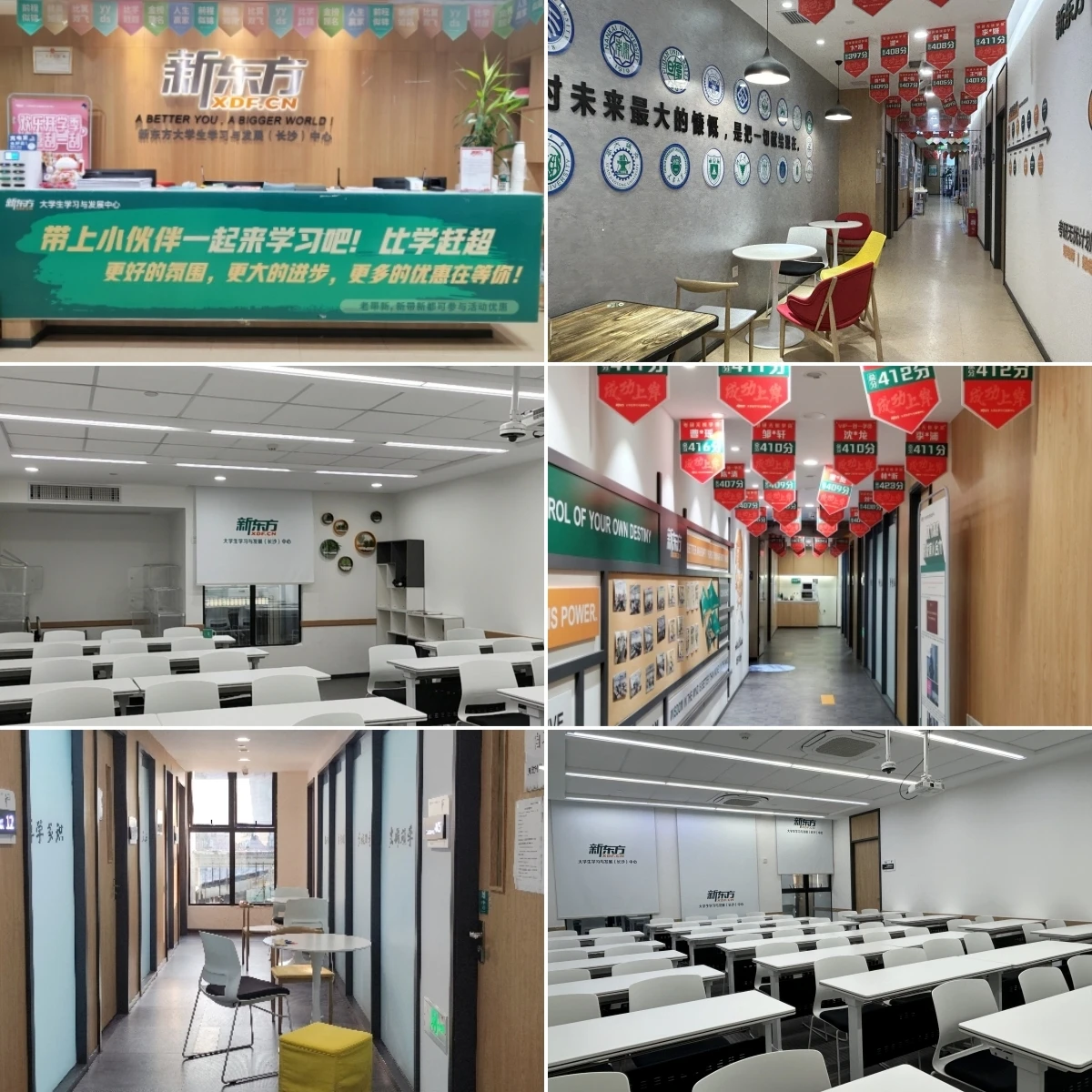 新东方26考研无忧走读课程