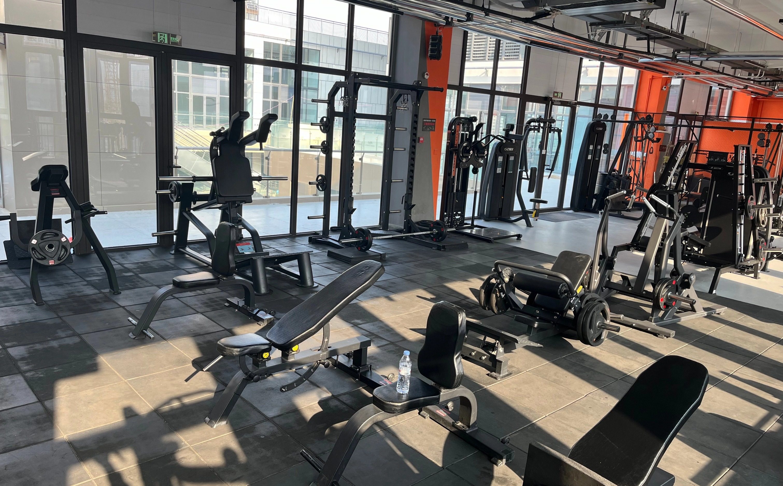 山东新东方专升本