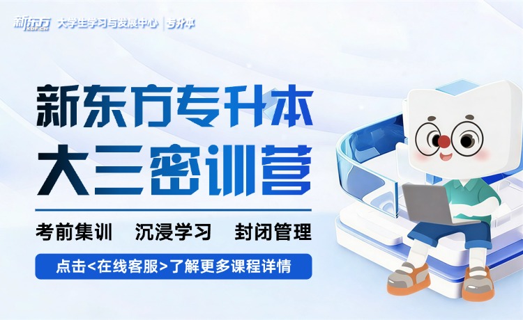 小学教育专升本,小学教育专升本就业前景
