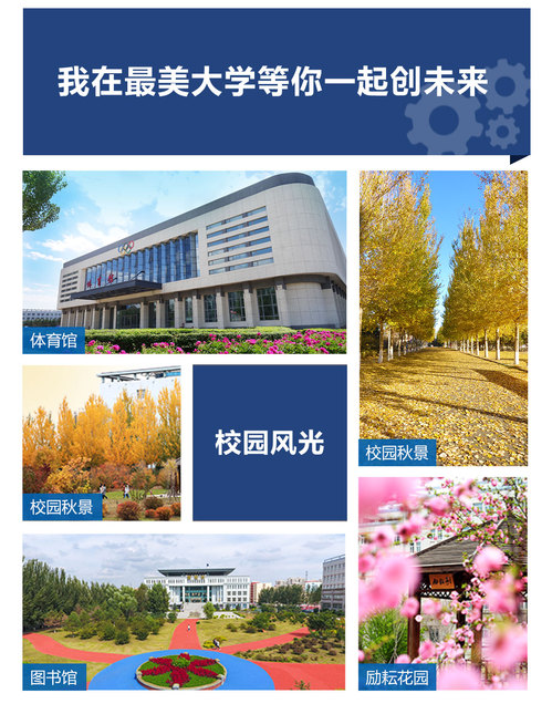 哈尔滨华德学院2022年专升本招生简章