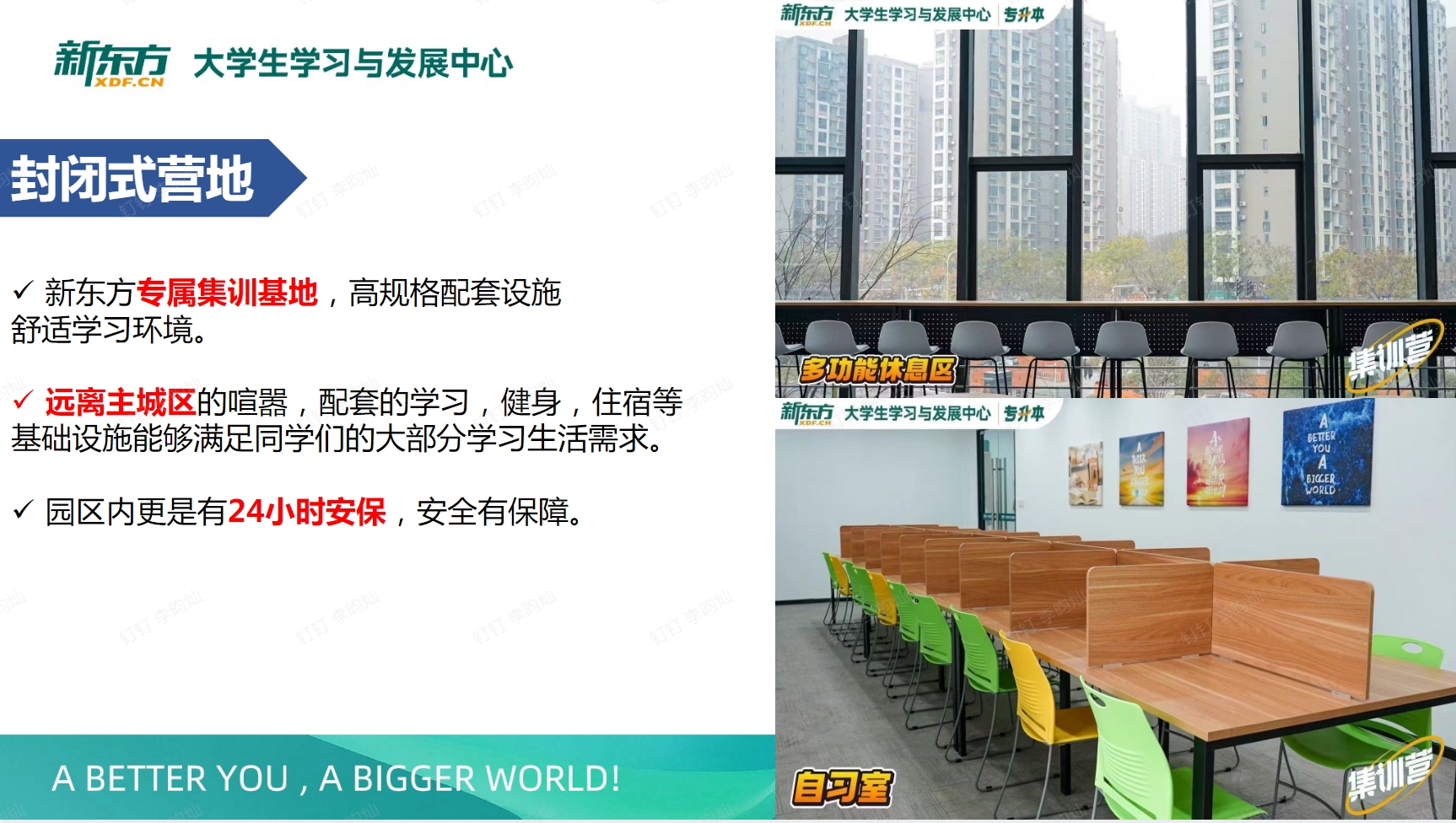 新东方专升本集训营课程