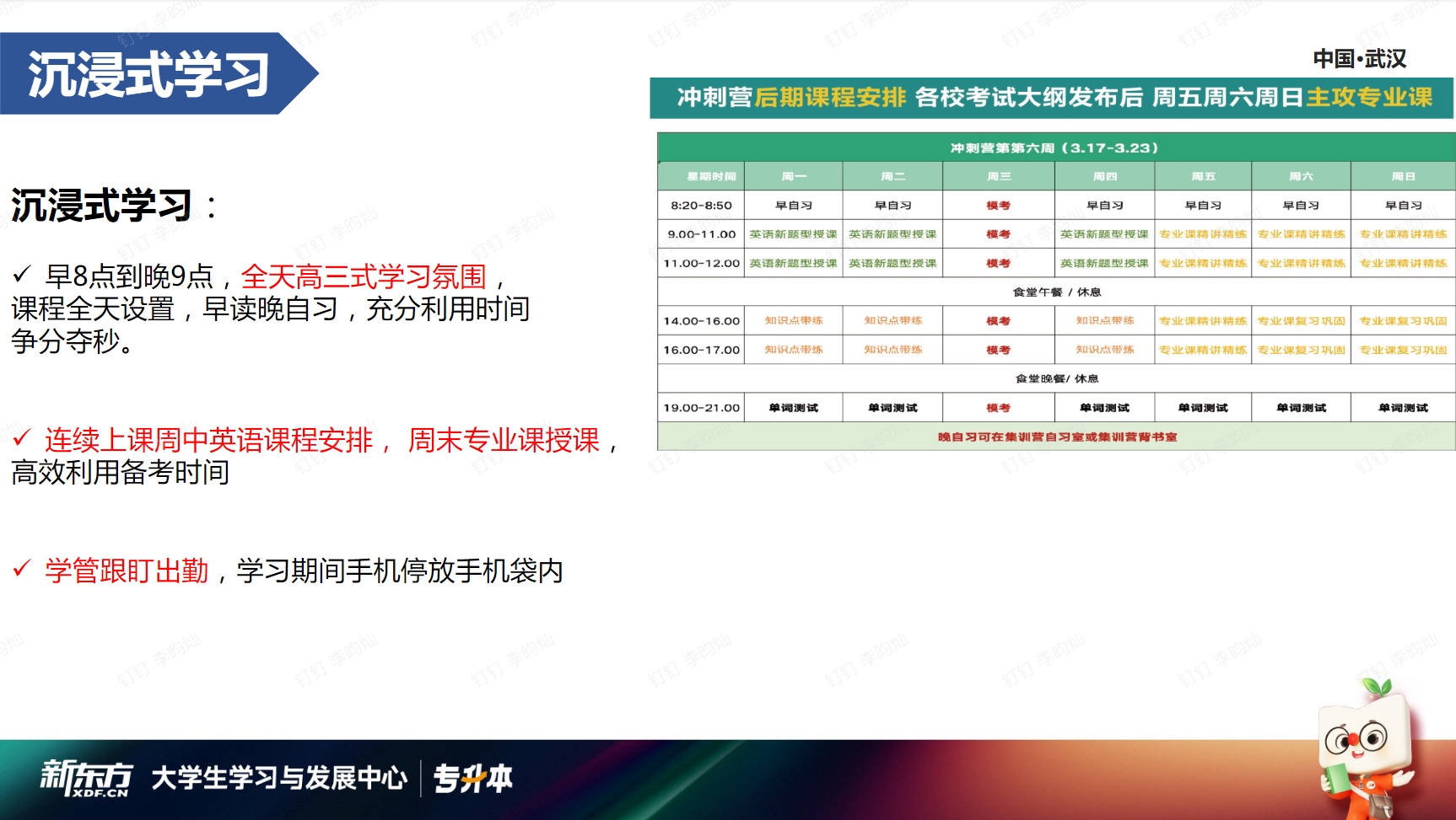 新东方专升本集训营课程
