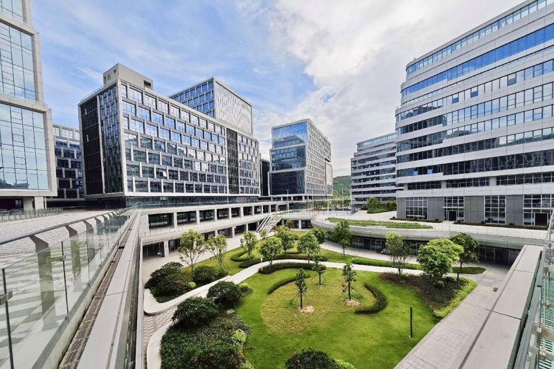 新东方考研集训营